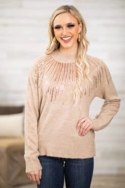 Tan And Rose Gold Sequin Detail Sweater