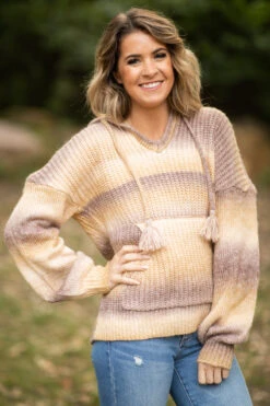 Mocha And Mustard Ombre Hooded Sweater